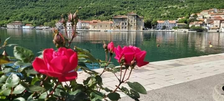 Apartmani Petar I Luka Bakar Dış mekan fotoğraf
